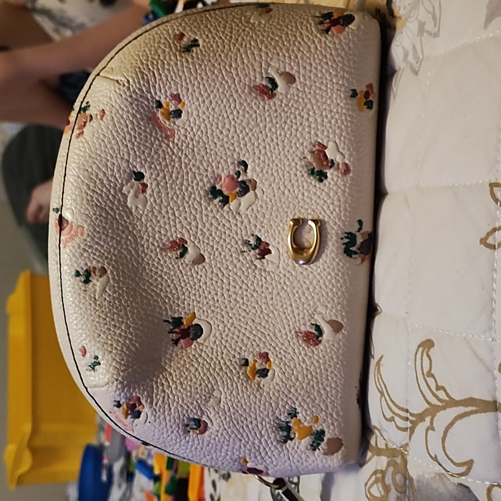 Coach Makeup Bag